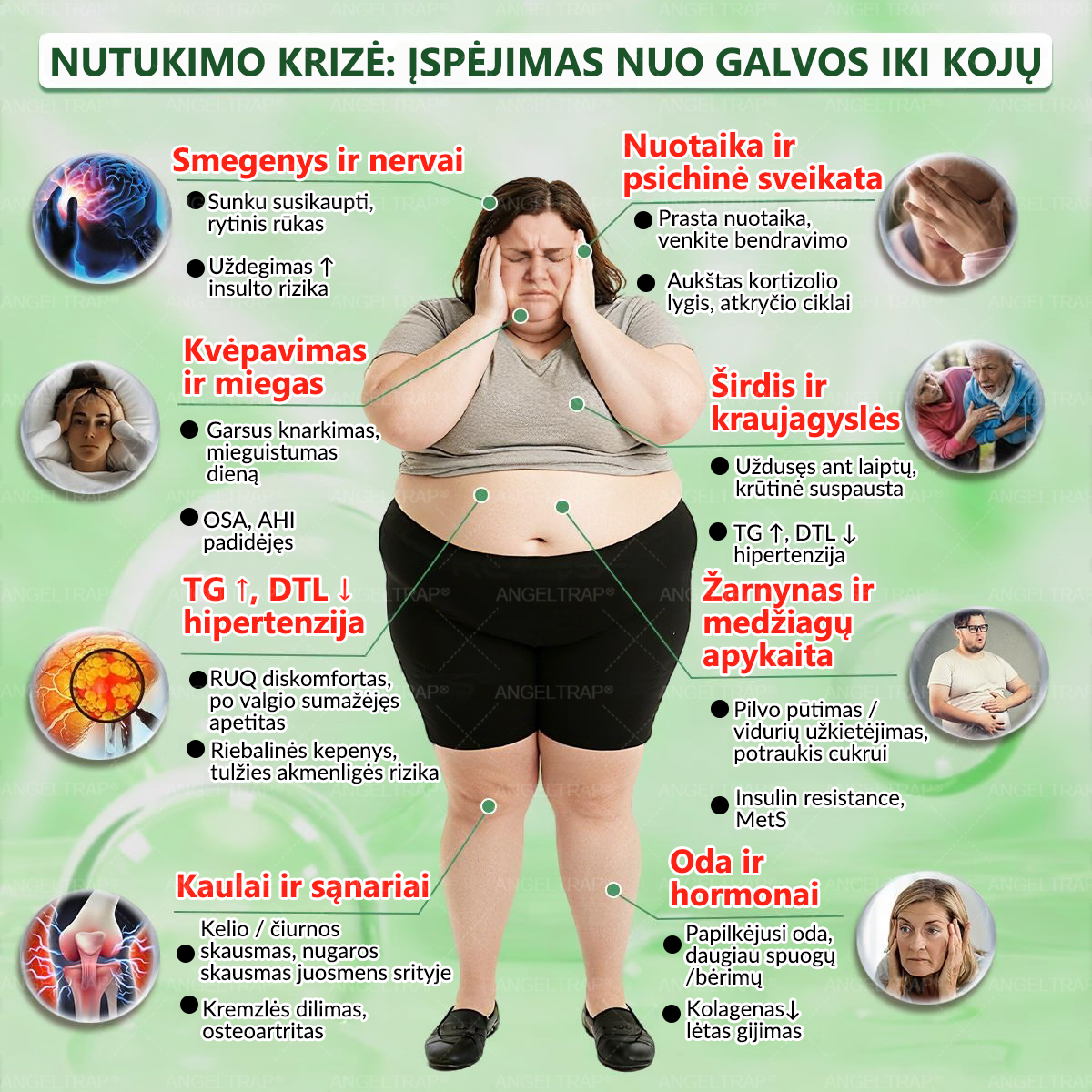 ⏰ Sveikiname! Atidarėte išskirtinį pasiūlymą ANGELTRAP®! Už jūsų užsakymą šiandien gausite papildomą 50 % nuolaidą! Spustelėkite žemiau esančią nuorodą ir pasinaudokite šiuo specialiu pasiūlymu — pasiūlymas netrukus baigs galioti! ⏰